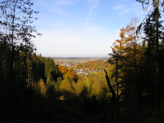 Von der Möhnequelle der erste Blick auf Brilon.